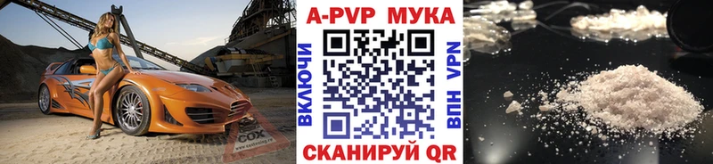 A PVP СК КРИС Сургут