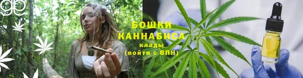 гидра Арсеньев