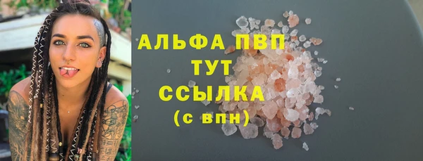 гидра Арсеньев