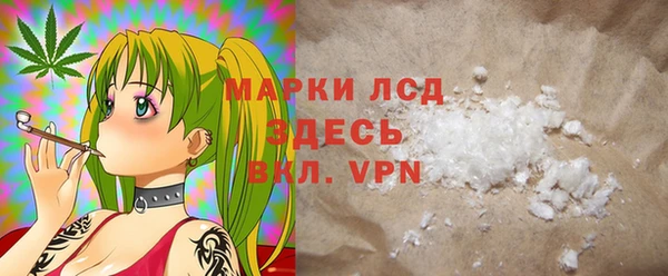 гидра Арсеньев