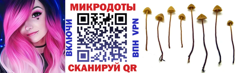 Галлюциногенные грибы Cubensis  Сургут 