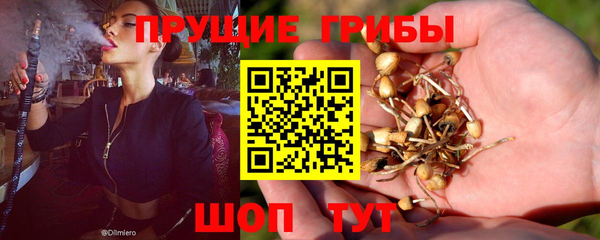 Галлюциногенные грибы мицелий Сургут