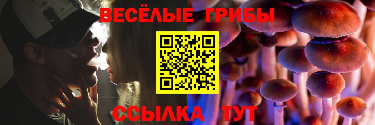 Псилоцибиновые грибы GOLDEN TEACHER  Вход с VPN  Галлюциногенные грибы Magic Shrooms  Сургут 